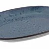 Oldenhof 1821 Ovale Serveerschaal ø 30,5 X 21 Cm Aardewerk Indigo Spickel Blauw 1 Oldenhof 1821 Ovale Serveerschaal ø 30,5 X 21 Cm Aardewerk Indigo Spickel Blauw -Bekend Glaswerk Winkel 01.757 21.558